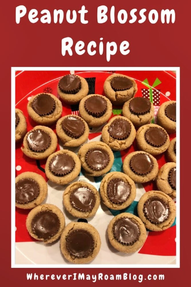 peanut-blossom-recipe-pin