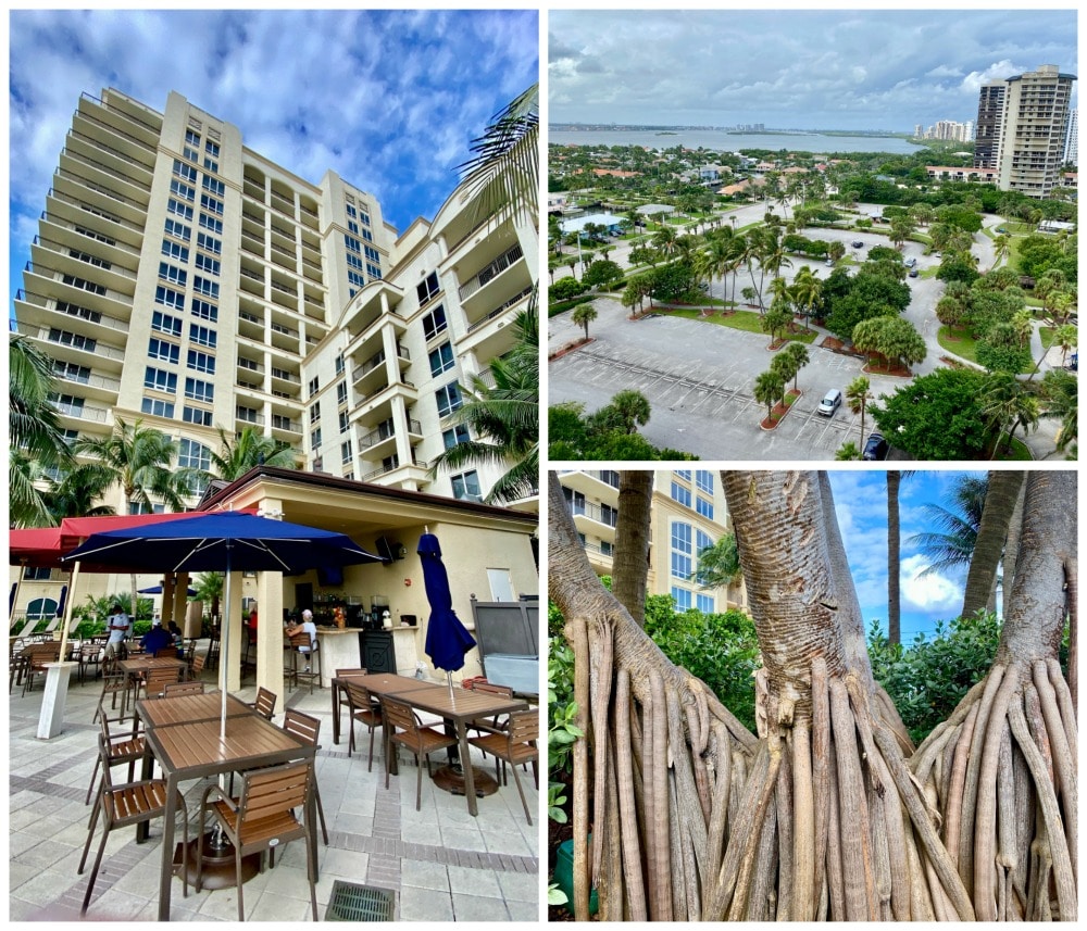 views and grounds at palm beach marriott singer island