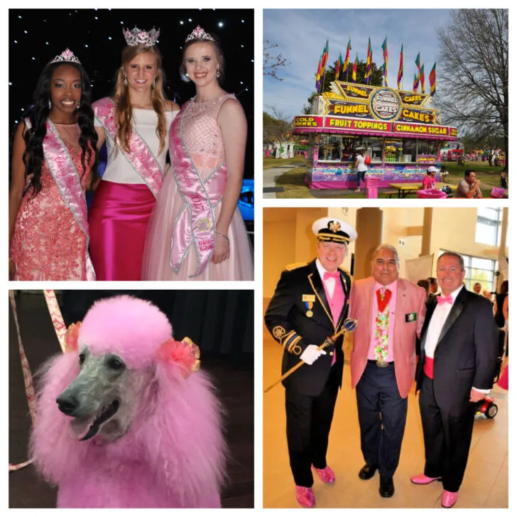 macon-cherry-blossom-festival