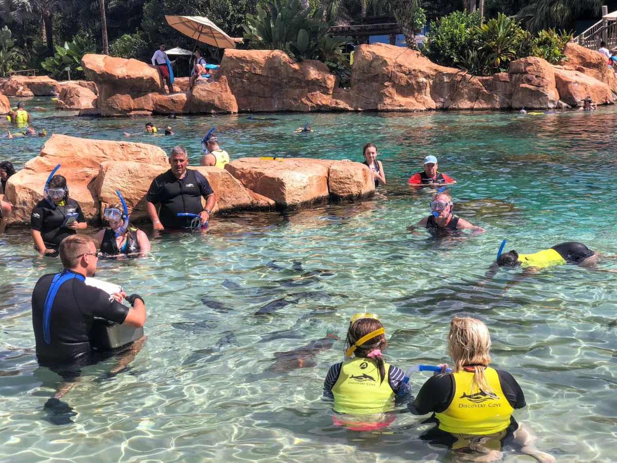 discovery-cove-families-having-fun