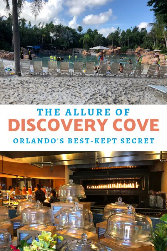 discovery-cove-orlando-best-kept-secret-pin