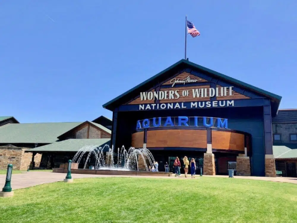wonders-of-wildlife-museum-and-aquarium