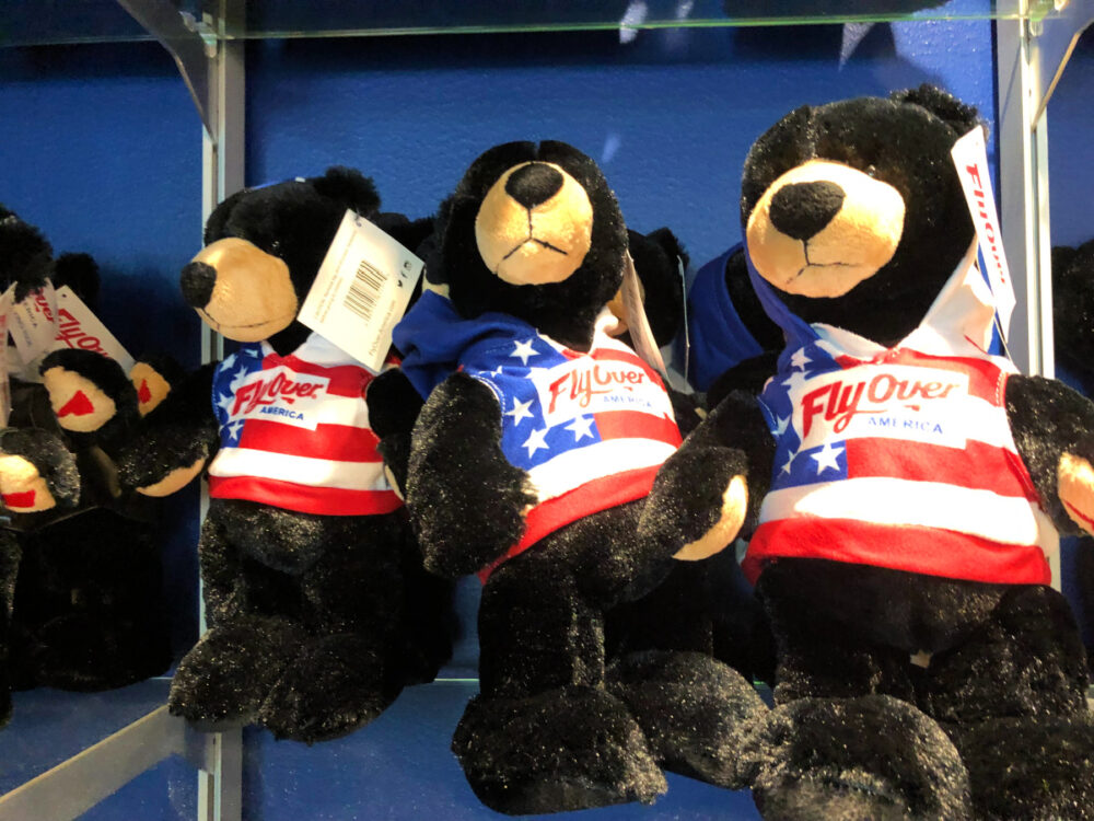 fly-over-america-souvenir-bears