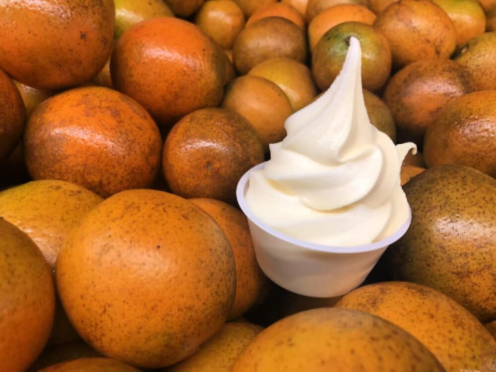 orange-soft-serve-sitting-on-florida-oranges