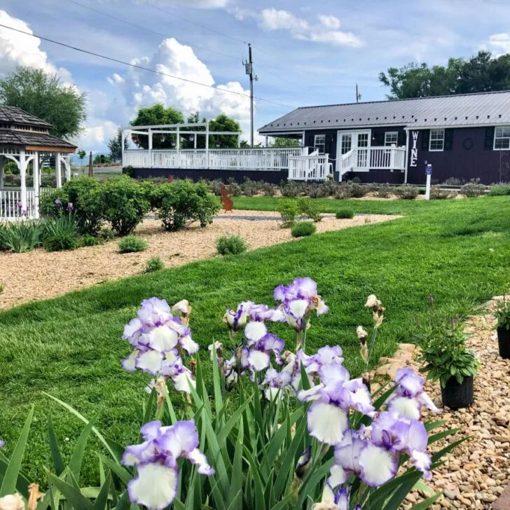 Where to Stay, Play, and Eat: The Best Things to Do in Harrisonburg, VA