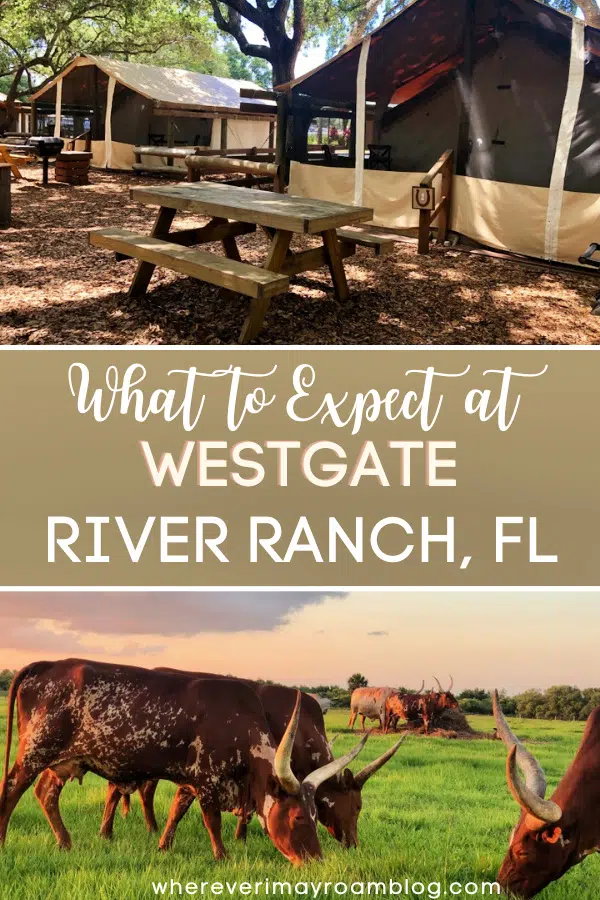 westgate-river-ranch-resort-and-fodeo
