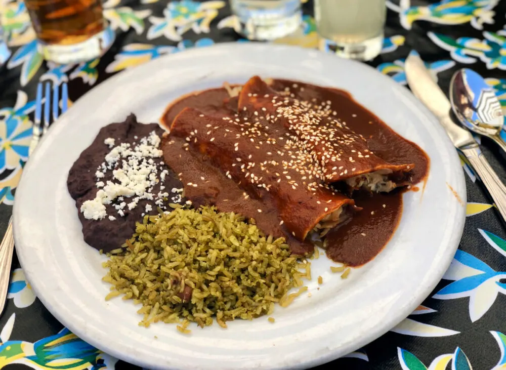 mexican-food-with-mole-sauce-rice-and-beans