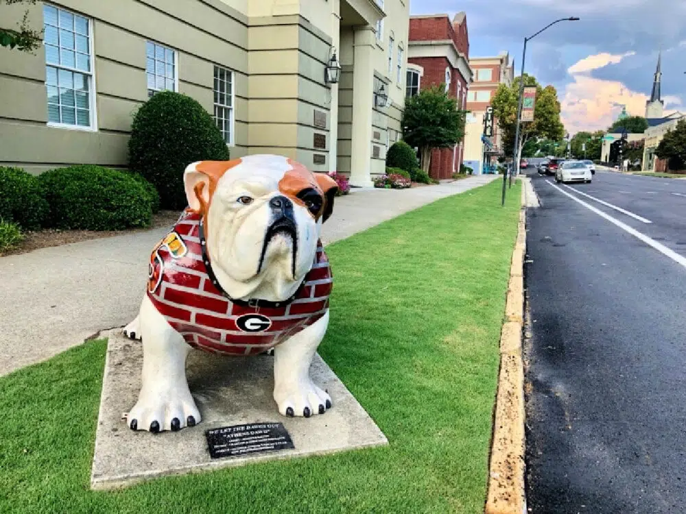 georgia-bulldog-statue