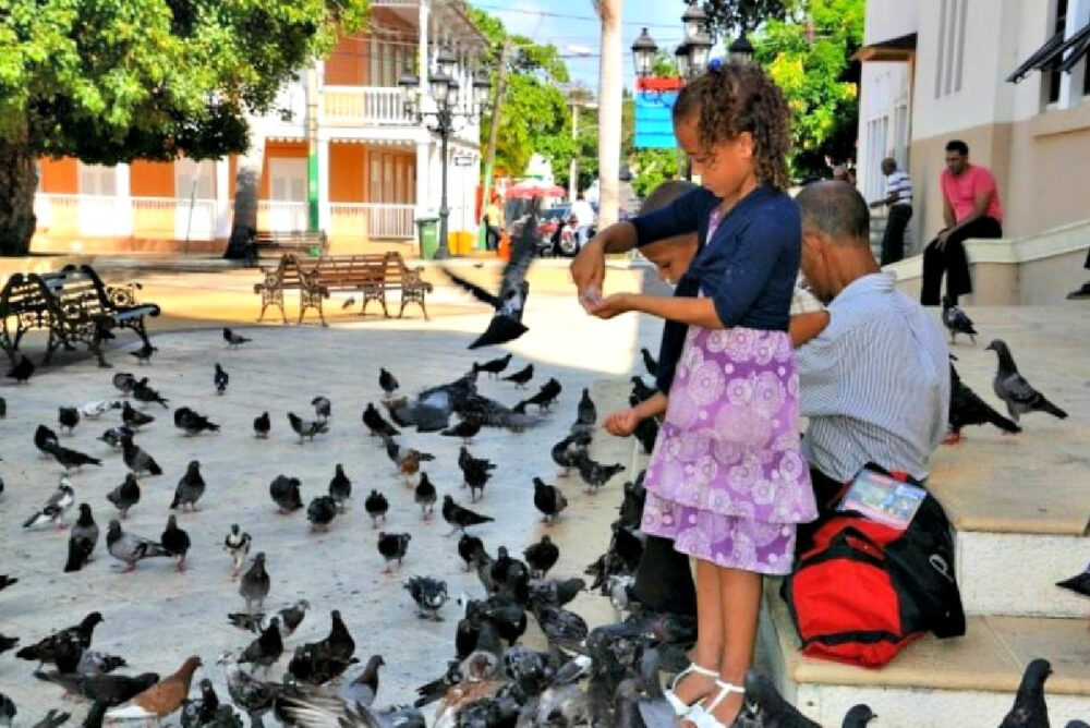 feeding-pigeons-in-puerto-plata