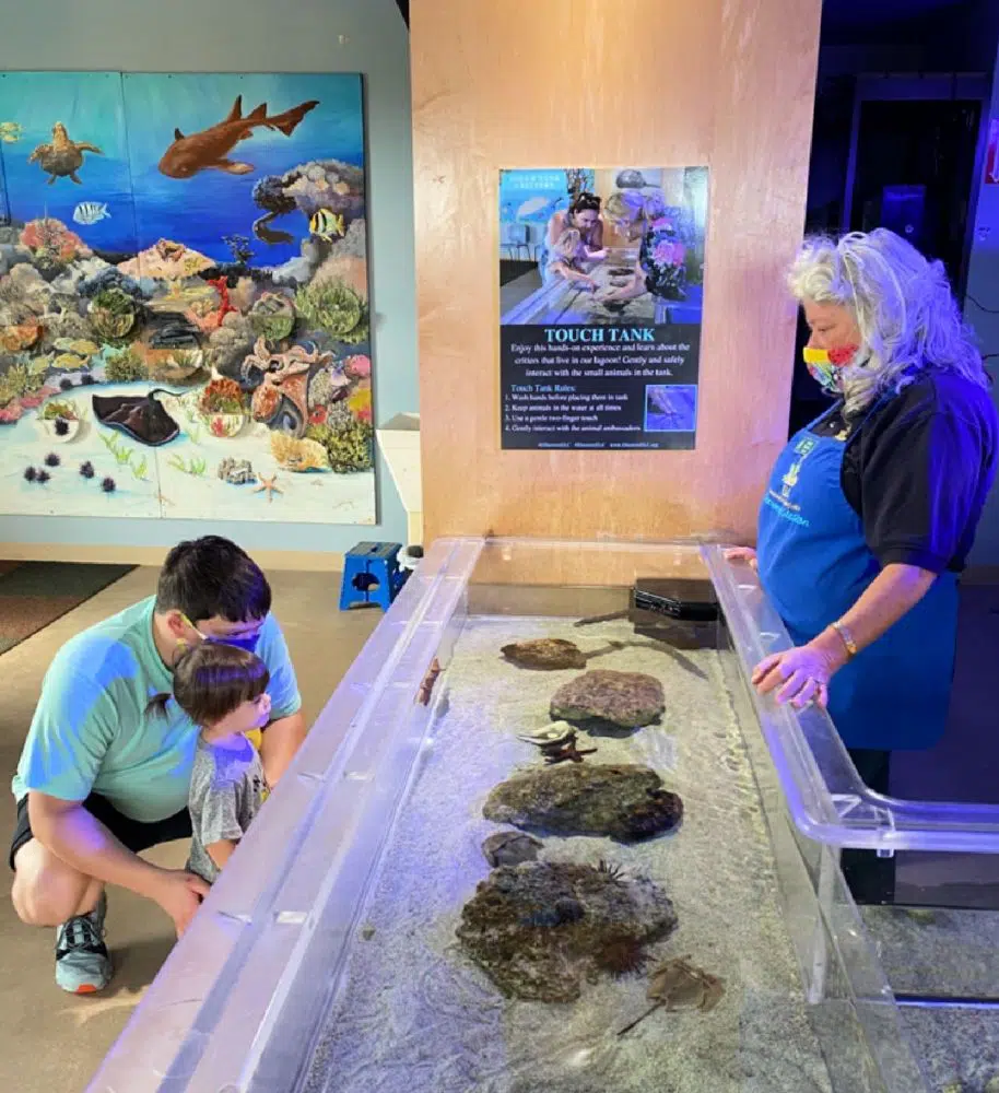 touch-tank-environmental-learning-center