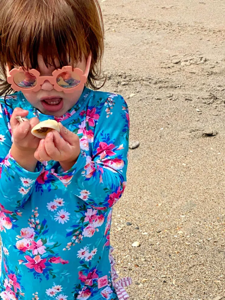 toddler-on-beach-holding-seashells