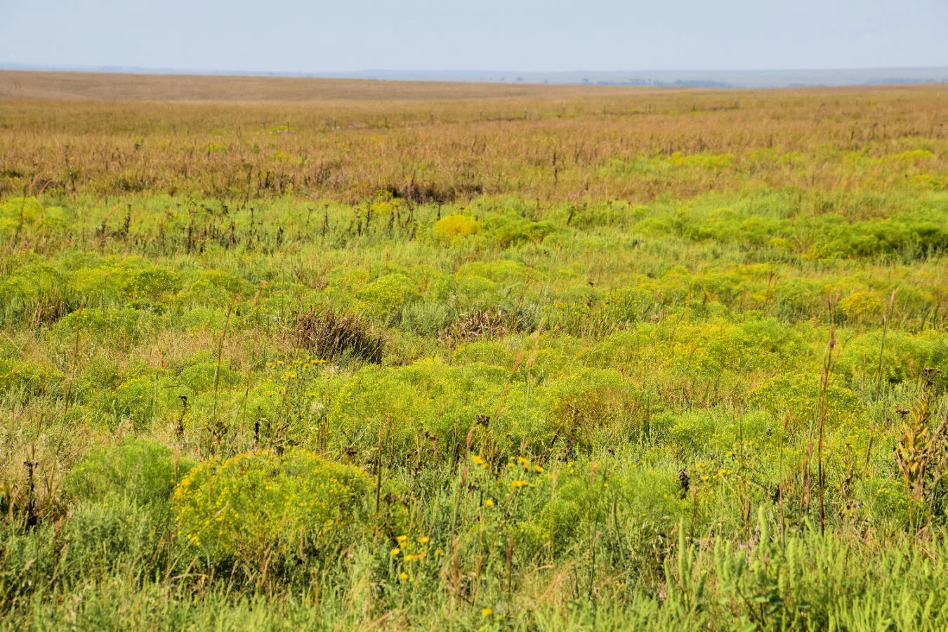 colors-of-kansas-flint-hills