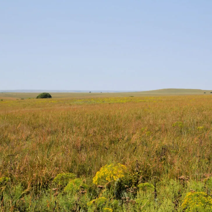 A Kansas Road Trip Through the Scenic Flint Hills