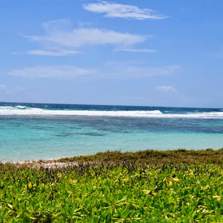 What to See and Do in Aruba