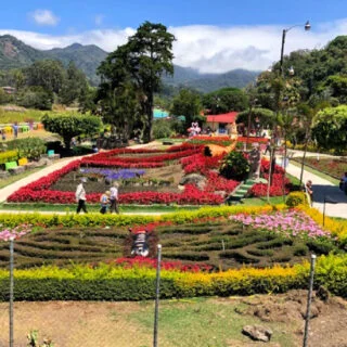 boquete-fairgrounds-in-bloom