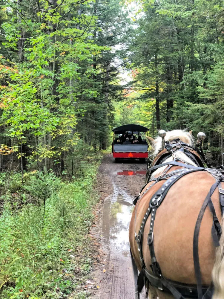 thunder-bay-carriage-ride