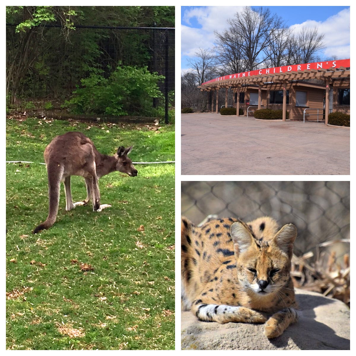 fort-wayne-childrens-zoo