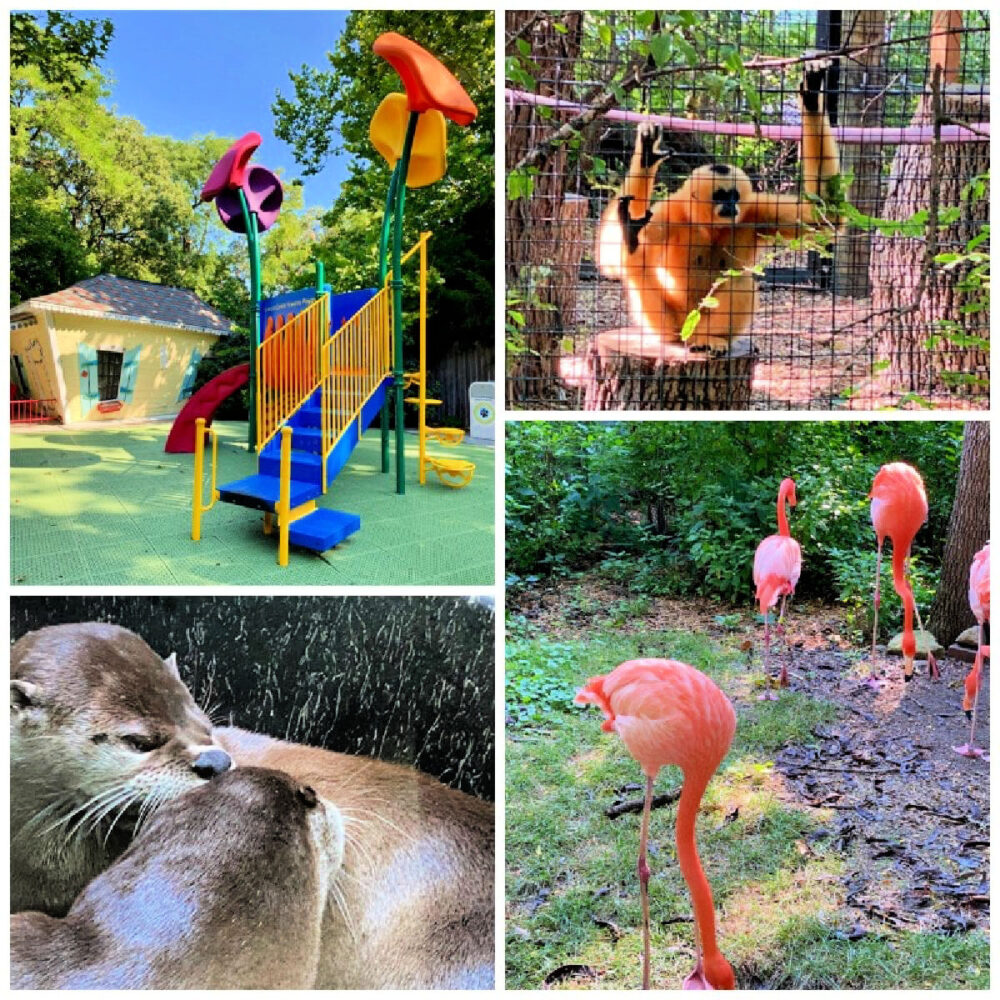 animal-exhibits-and-playground-lincoln-childrens-zoo