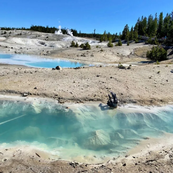 Nature&rsquo;s Wonderland: Top Things to Know When Visiting Yellowstone National Park