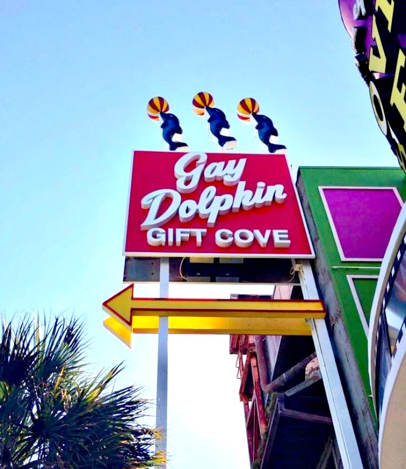gay dolphin gift cove