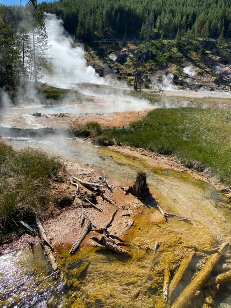 geothermal springs yellowstone