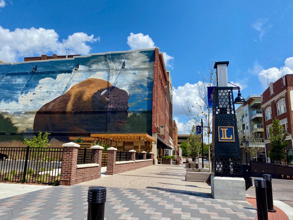 buffalo-mural-in-downtown-fort-wayne