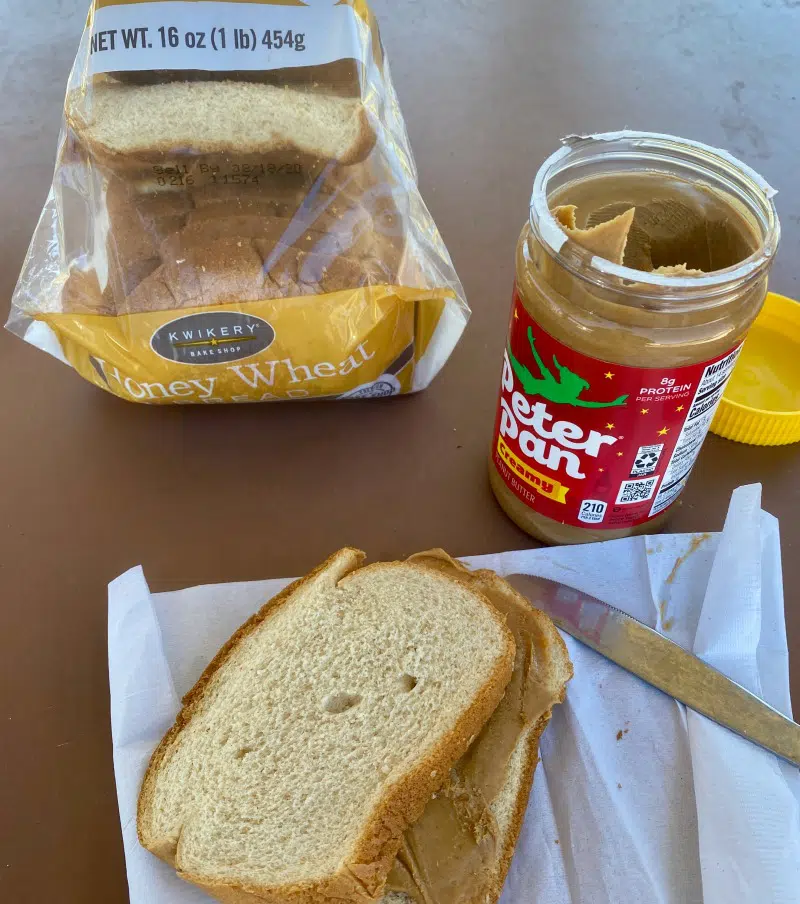 peanut butter sandwich snack break
