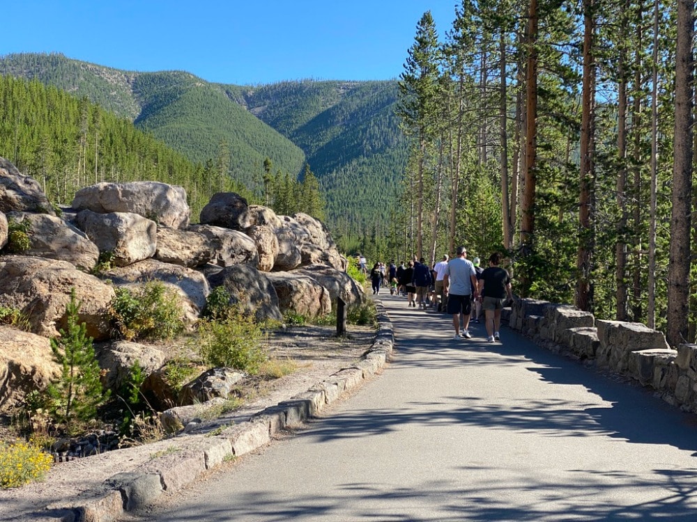 walkway to scenic overlook at yellowstone national park