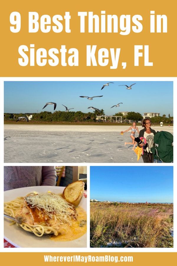 best-things-to-do-siesta-key