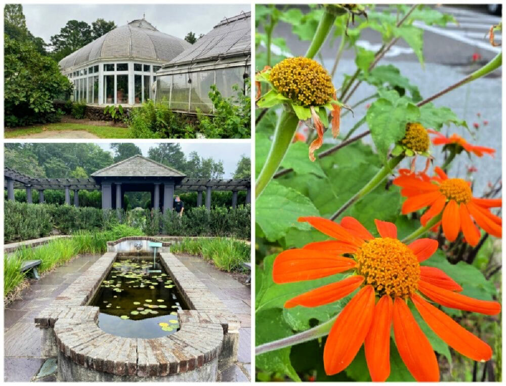 reynolda-gardens-fountain-and-greenhouse