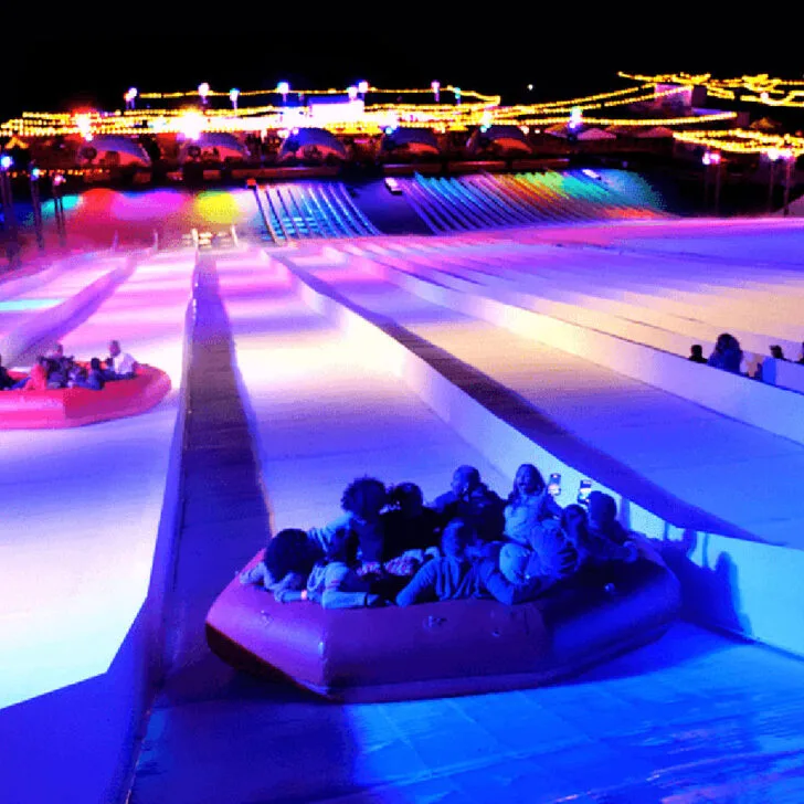 A Road Trip to Dade City, Florida