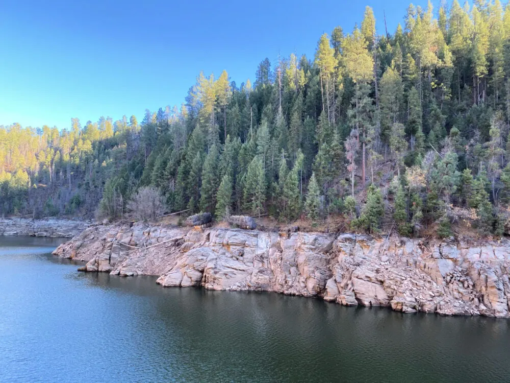 blue-ridge-reservoir-trees