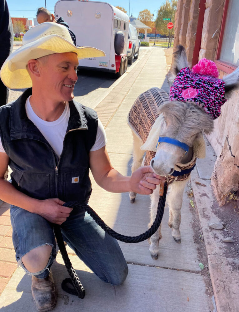 dressed-up-donkey-in-top-attractions-in-winslow-arizona