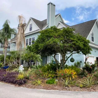 heron-cay-bed-and-breakfast