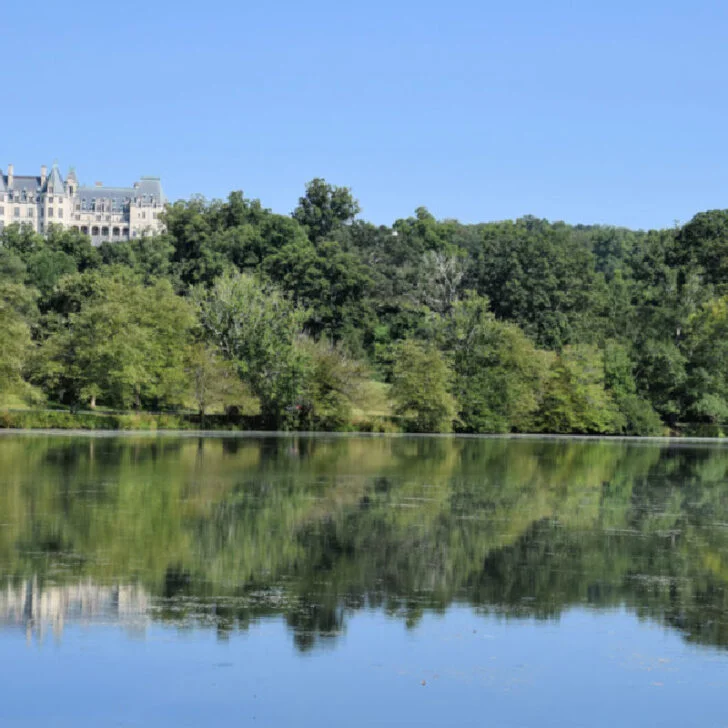 Discovering the Best Things to Do in Asheville, NC