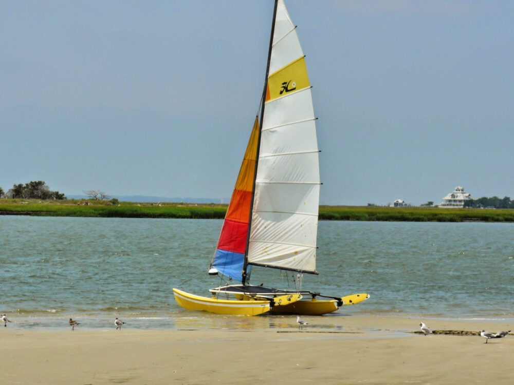 hobie-cat-sailboat