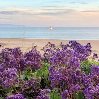 chardonnay-cruises-sailboat