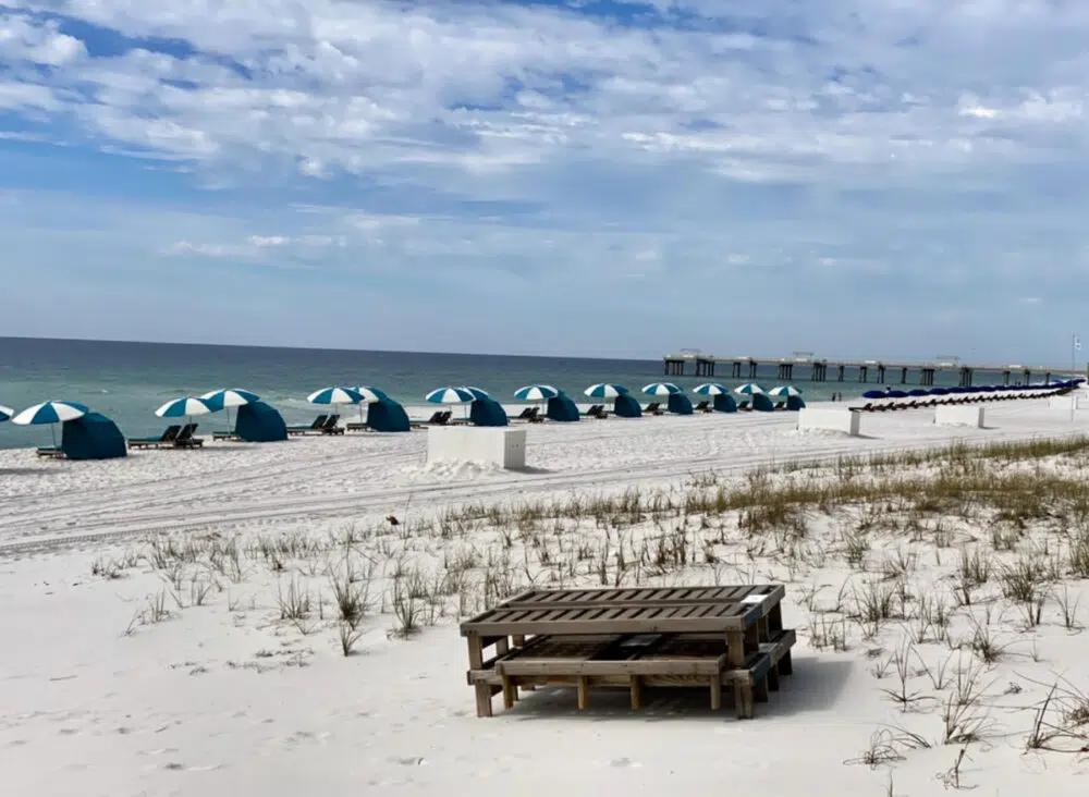 beach-umbrellas-and-chairs