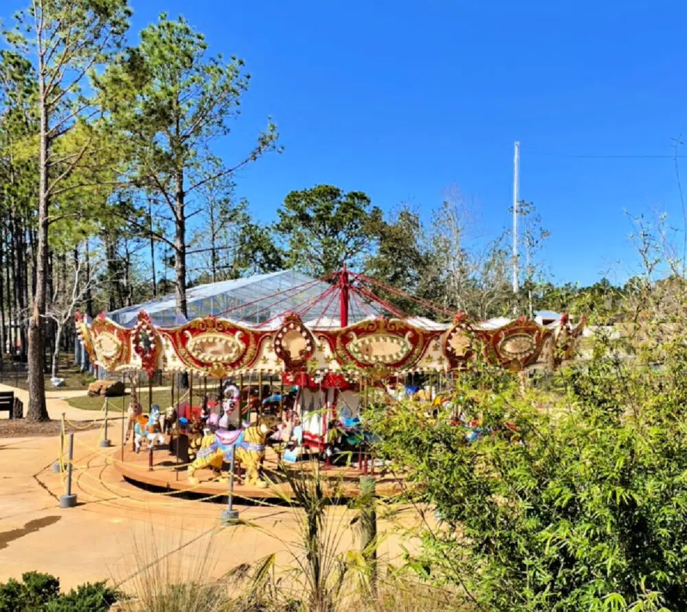 carousel-gulf-coast-zoo
