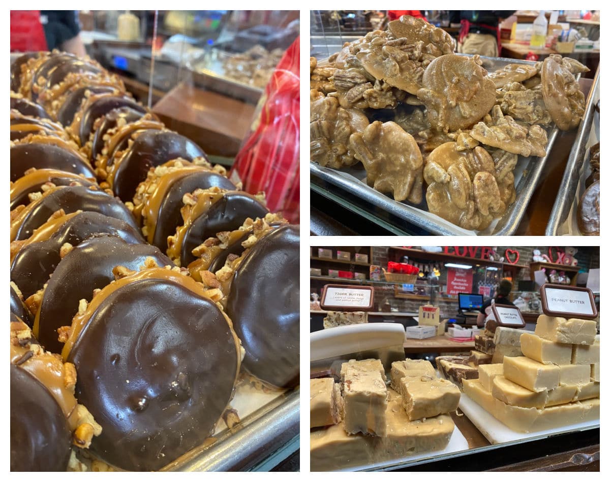 savannah-pralines-and-turtle-candies