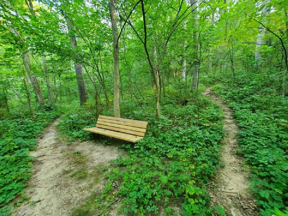 ice-age-trail-bench