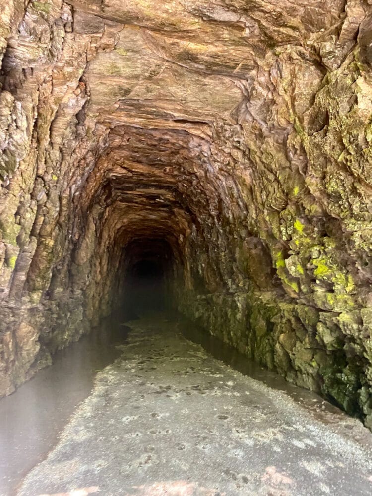 stumptown-tunnel
