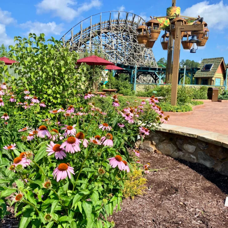 Visiting Dollywood and Pigeon Forge, TN