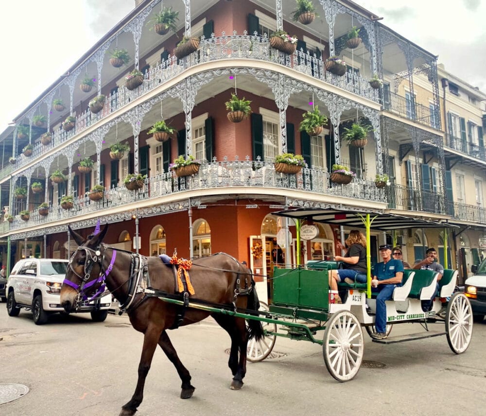 french-quarter-building-and-horse-drawn-carriage