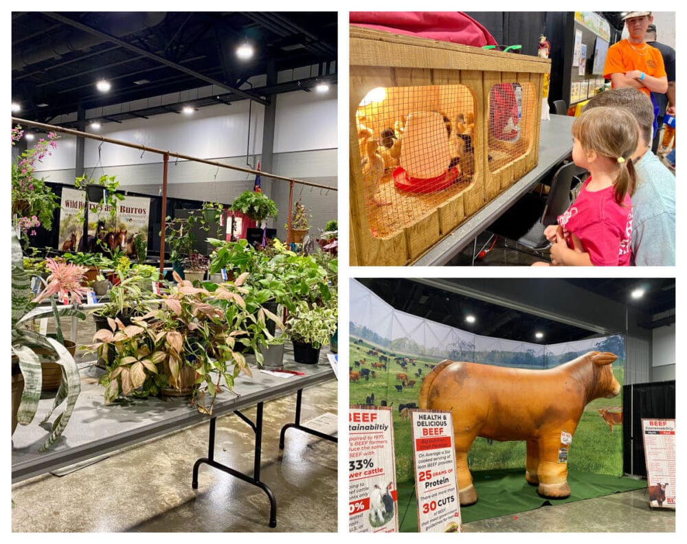 agriculture-at-ms-state-fair