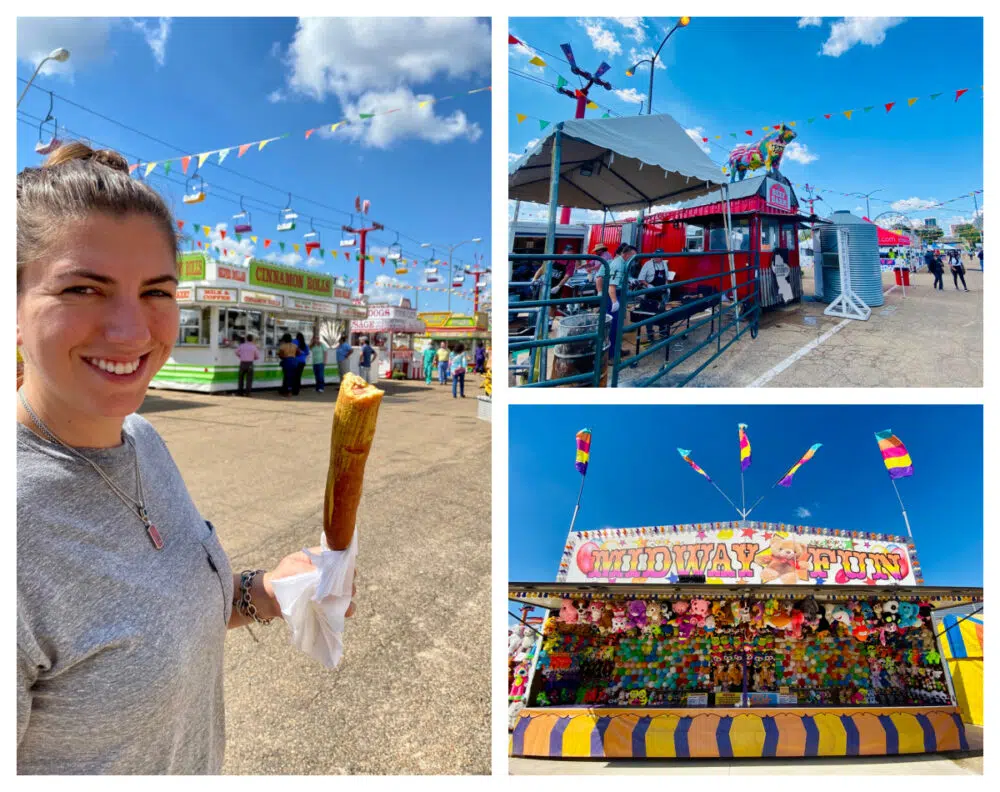 state-fair-fun-food-and-games