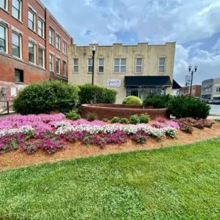 flower-beds-in-downtown-murphy