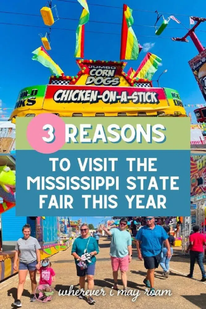 mississippi-state-fair-pin