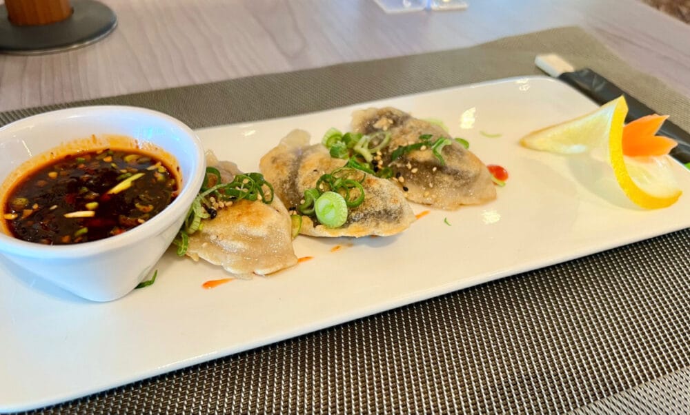 potstickers-with-sauce