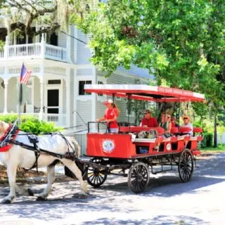 carriage-tour-of-beaufort-south-carolina-lowcountry